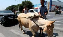 老牛拉破车歇后语