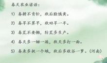 怀里揣着十五只兔子歇后语