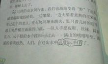 抄写长的拟人句