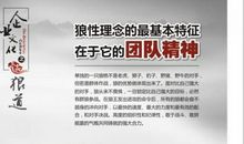 狼团队口号霸气点的