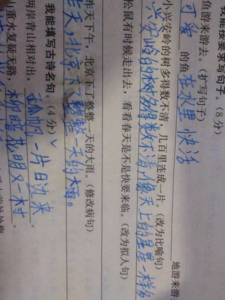 50个拟人化句子超短