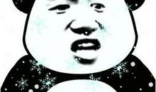 抖音最搞笑句子