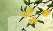 与节气有关谚语