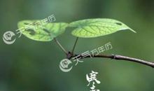 关于农业寒露谚语