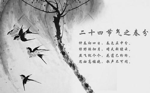 关于节气的谚语