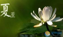 有关夏至的农业谚语