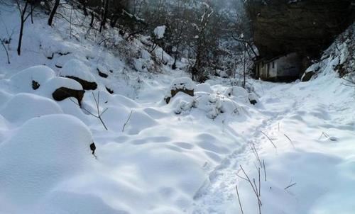 关于霜冻的农业谚语