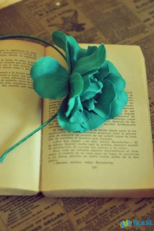 理解生活的隐喻