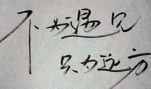 关于努力的比喻句