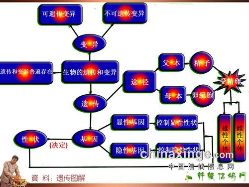 古王岩经典句子