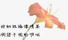 教师节日祝福语