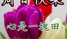 感谢祝福语大全2019