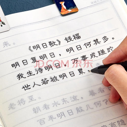 漂亮的成语和句子