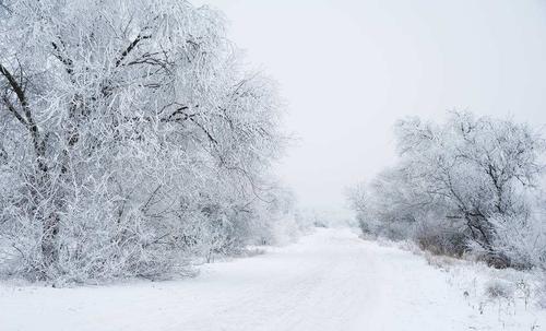 小寒和大韩谚语