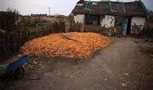 一段很现实的话短