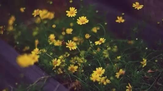 社会太复杂了，人民的心也太险恶了