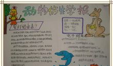 关于生活启示录的谚语