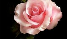 朋友祝福最温馨的话语