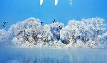 有关霜降的谚语