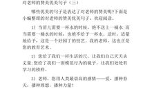 老师表扬学生的话语