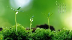 李纯的励志名言