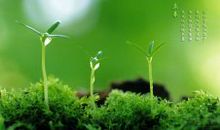 立春的励志语录