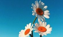 正能量励志的句子