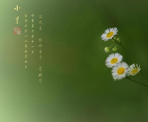 关于小叔的谚语