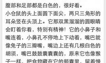 描写河的句子