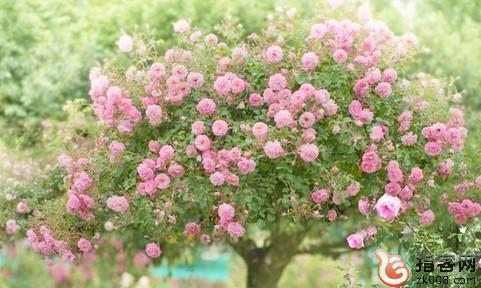 关心朋友的祝福讯息