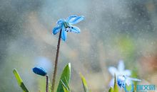 比喻句雨像什么