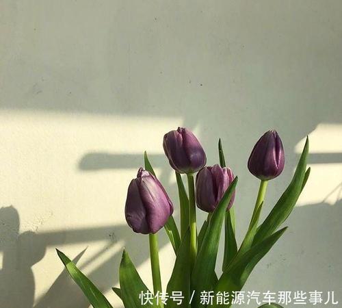 现实而令人心碎的句子很长