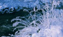 雪优美的比喻句