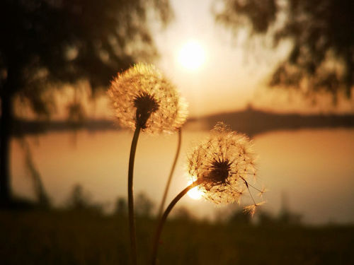 平顺脾气,平凡就是最好的成长