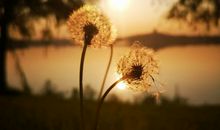 磨平性子里的棱角，平凡，就是最好的成长