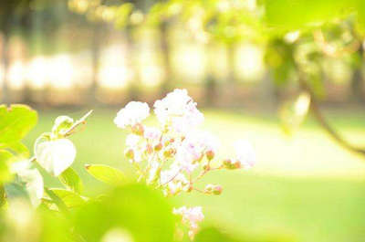 阳光永远是无私的，总是照亮需要温暖的人