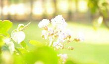 阳光总是无私的，它总是照亮那些需要温暖的人