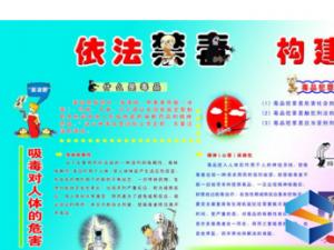 青年志愿者的口号