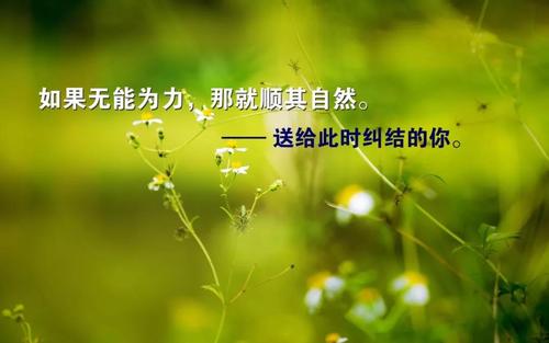 2019经典语录大真理