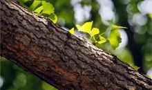 懂得取舍的名言