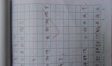 用把造句大全二年级