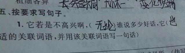 只用一句话就知道