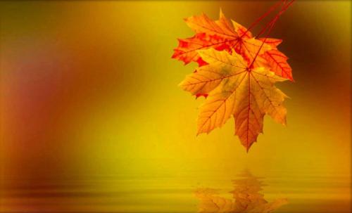 金色秋天的好句子