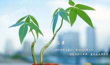 表示农事的谚语