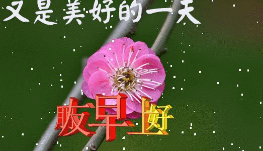 2020年个性化短祝