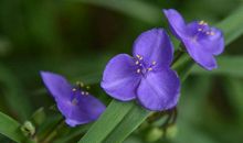 2019男生心情说说