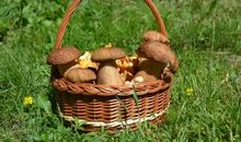 2019年经典语句心情