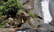 李茶的姑妈经典句子