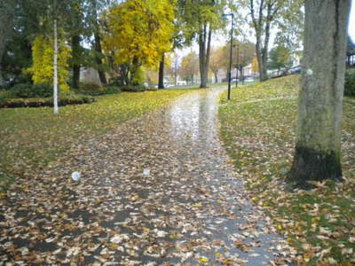 关于秋雨的美丽句子的完整集合[精选18句]