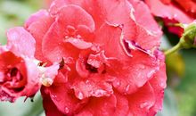 生活不会惯着你，想要不被抛弃，必须自己争气